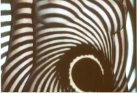 /album/metamorfose/foto-h-jpg/